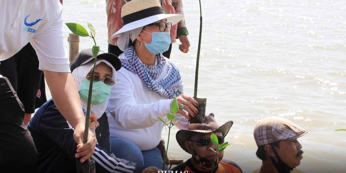 Galeri Foto Kegiatan Penanaman Mangrove